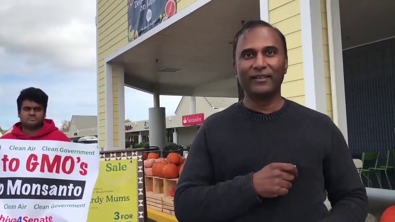 Educating Whole Foods Customers About GMOs and Elizabeth Warren's Support for Monsanto