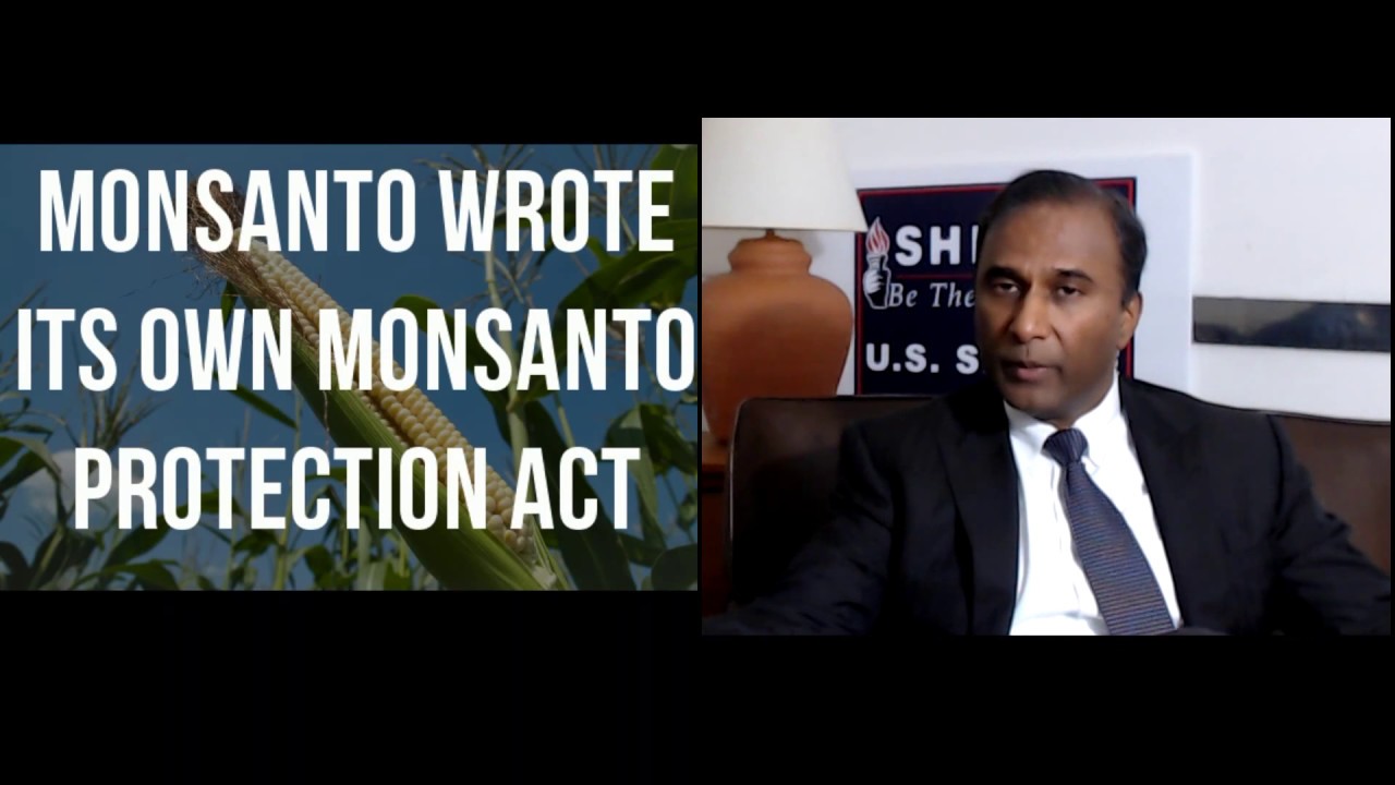 Breaking News: Warren and Monsanto Collusion Exposed