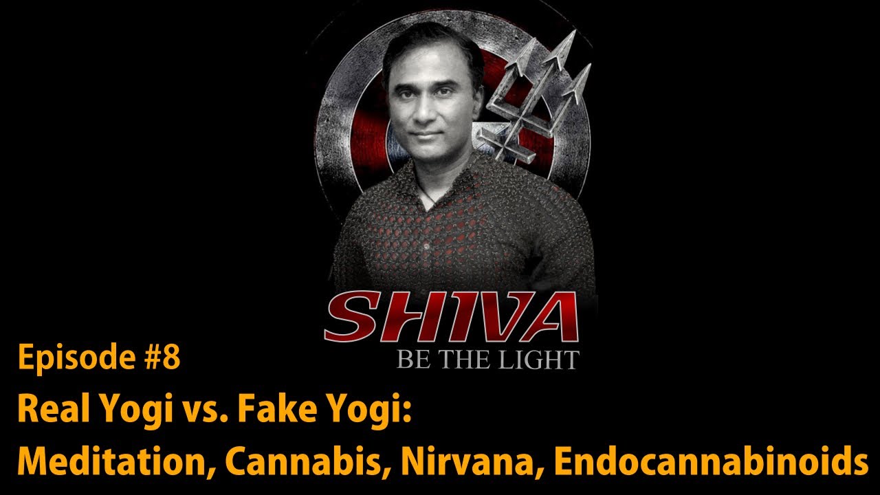 Real Yogi vs. Fake Yogi: Meditation, Cannabis, Nirvana, Endocannabinoids
