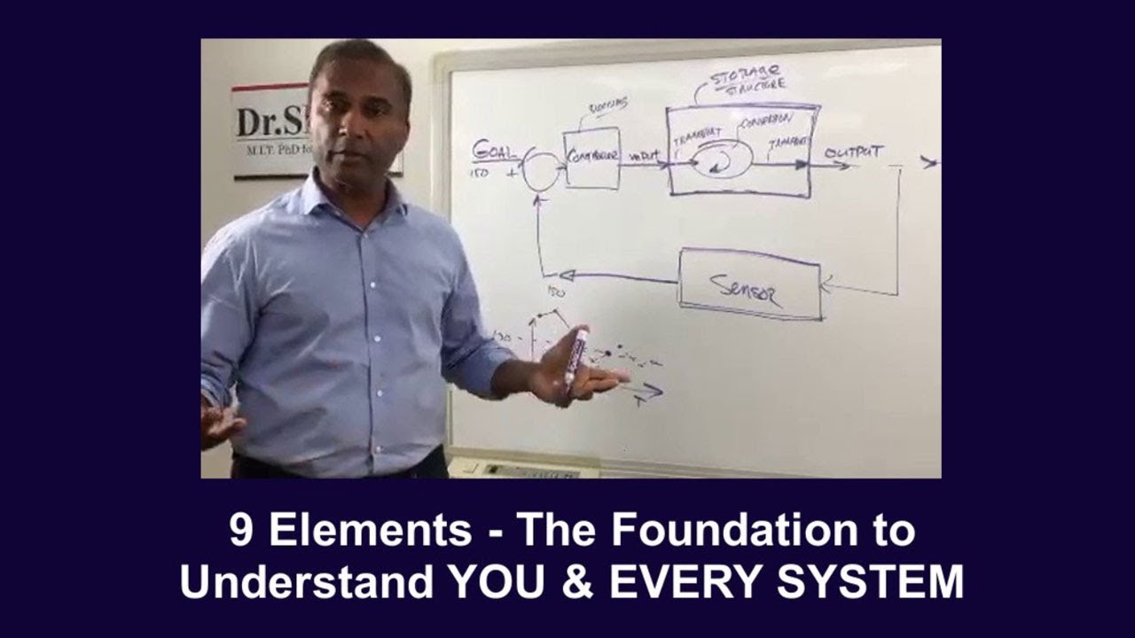 9 ELEMENTS OF ALL SYSTEMS - The Foundation to Understanding You and Every System