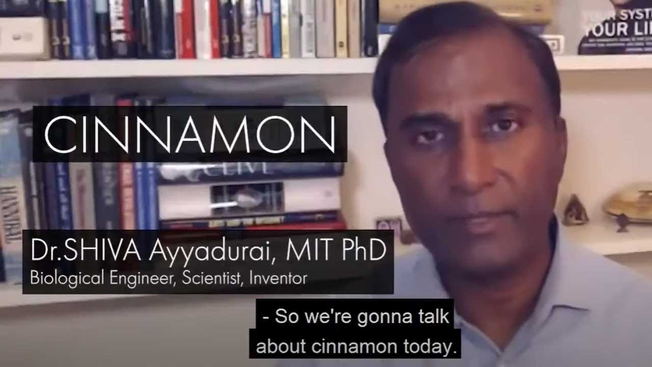 Dr. SHIVA On Boosting Immunity: CINNAMON - A Molecular Systems Analysis.