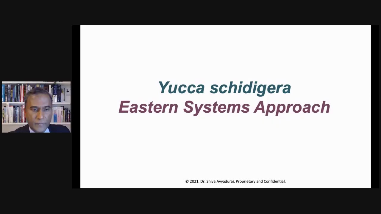 Dr.SHIVA LIVE: How Yucca Affects Joint Health. A CytoSolve Systems Biology Analysis.