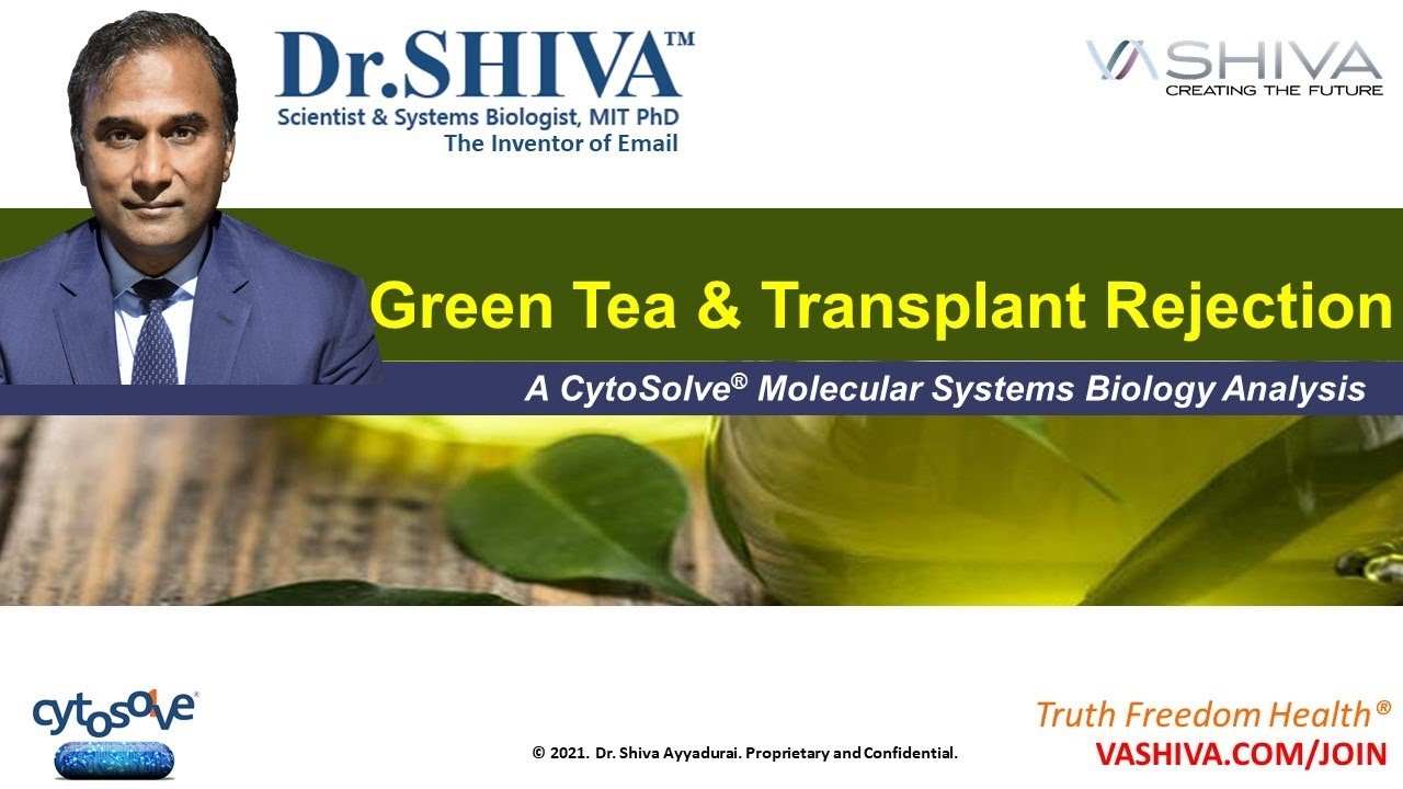 Dr.SHIVA LIVE: CytoSolve Discovers Molecular Mechanisms of Green Tea Reducing Transplant Rejection