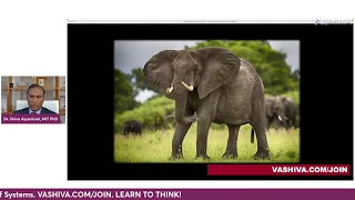 Dr.SHIVA LIVE: Are You a BLIND Sheep?  You May Be.