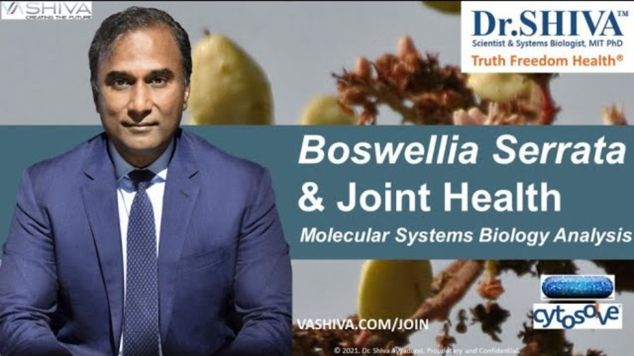 Dr.SHIVA™: Boswellia on Joint Health @CytoSolve® Systems Analysis(3/21)