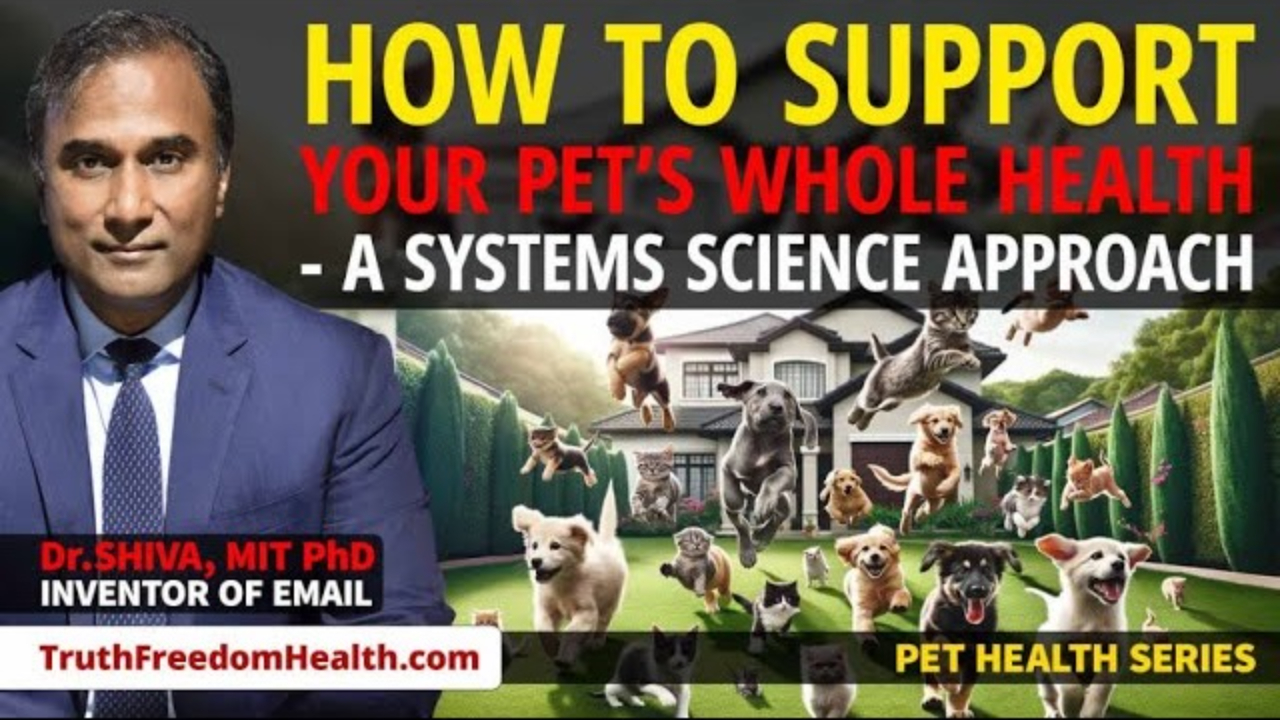 Dr.SHIVA™: Your Pet's Whole Health @CytoSolve Systems Analysis(12/23)