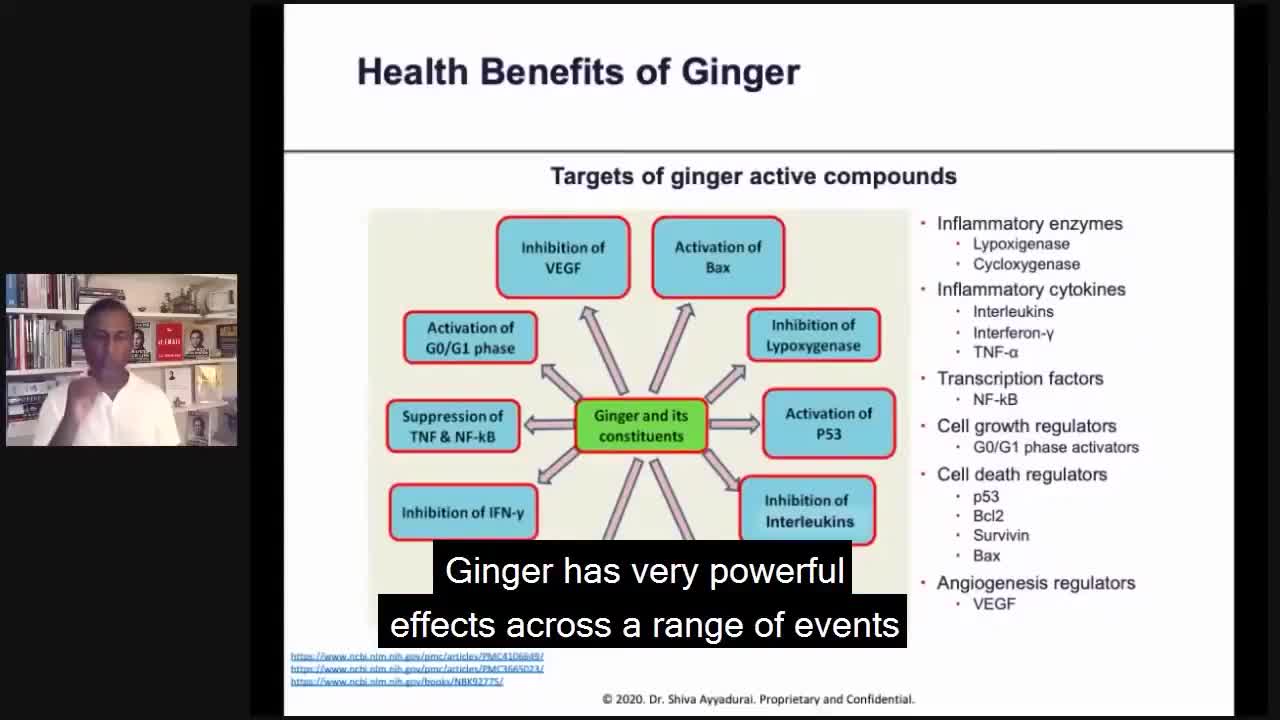 Dr.SHIVA™: Ginger on Immune Health @CytoSolve® Systems Analysis(8/20)