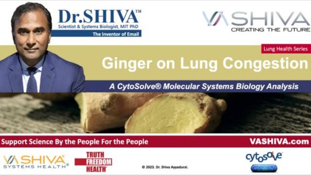 Dr.SHIVA™: Ginger on Lung Congestion. A CytoSolve® Analysis(02/24)