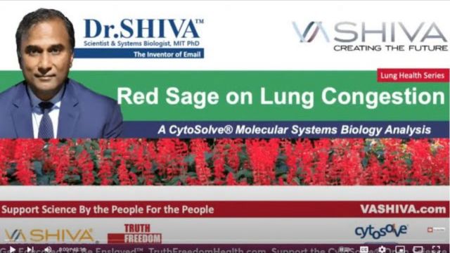 Dr.SHIVA™: Red Sage on Lung Congestion @CytoSolve® Systems Analysis (3/23)