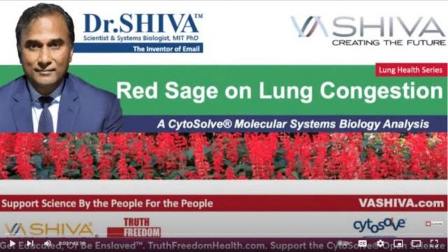 Dr.SHIVA™: Red Sage on Lung Congestion @CytoSolve® Systems Analysis(3/23)