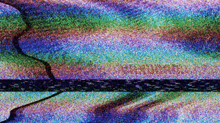 Dr.SHIVA™:Green Lipped Mussel on Joints @CytoSolve® Systems Analysis(3/21)