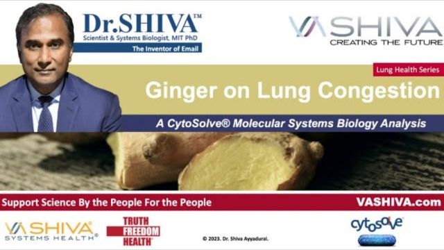 Dr.SHIVA™: Ginger on Lung Congestion. A CytoSolve® Analysis(02/24)