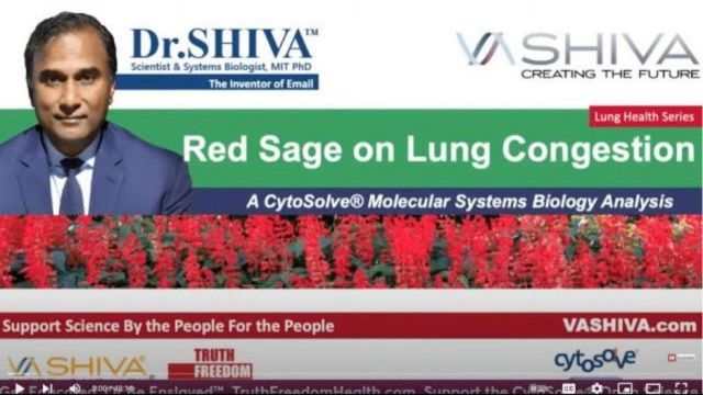 Dr.SHIVA™: Red Sage on Lung Congestion @CytoSolve® Systems Analysis(3/23)