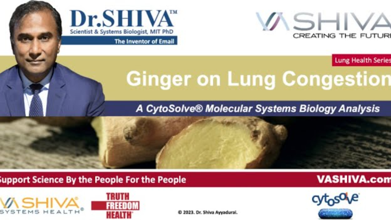 Dr.SHIVA™: Ginger on Lung Congestion. A CytoSolve® Analysis(02/24)