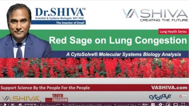 Dr.SHIVA™: Red Sage on Lung Congestion @CytoSolve® Systems Analysis (3/23)