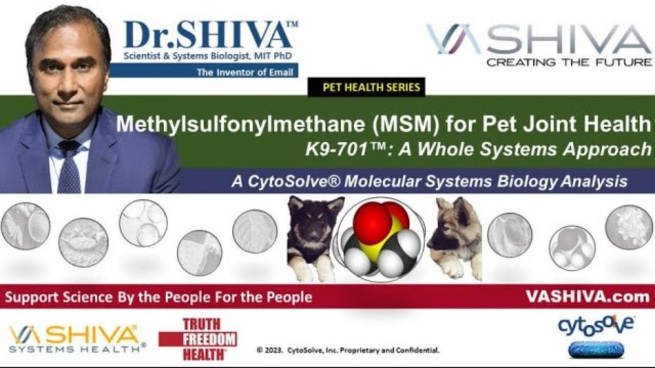 Dr.SHIVA™ LIVE - MSM for Pet Joint Health K9-701™: A Whole Systems Approach