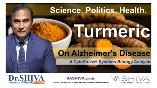 Dr.SHIVA™: Turmeric on Alzheimer's Disease @CytoSolve® Systems Analysis (7/25)