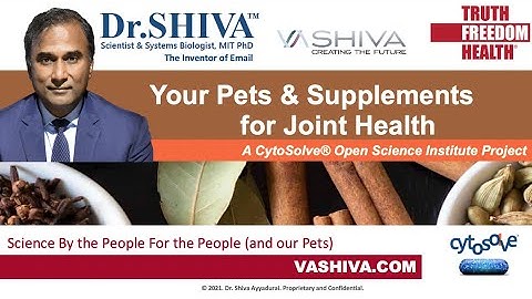 Dr.SHIVA LIVE: Your Pets, Supplements, and Joint Health