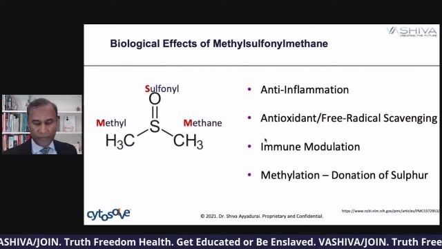 Dr.SHIVA: MSM & Joint Health - A CytoSolve® Molecular Systems Analysis