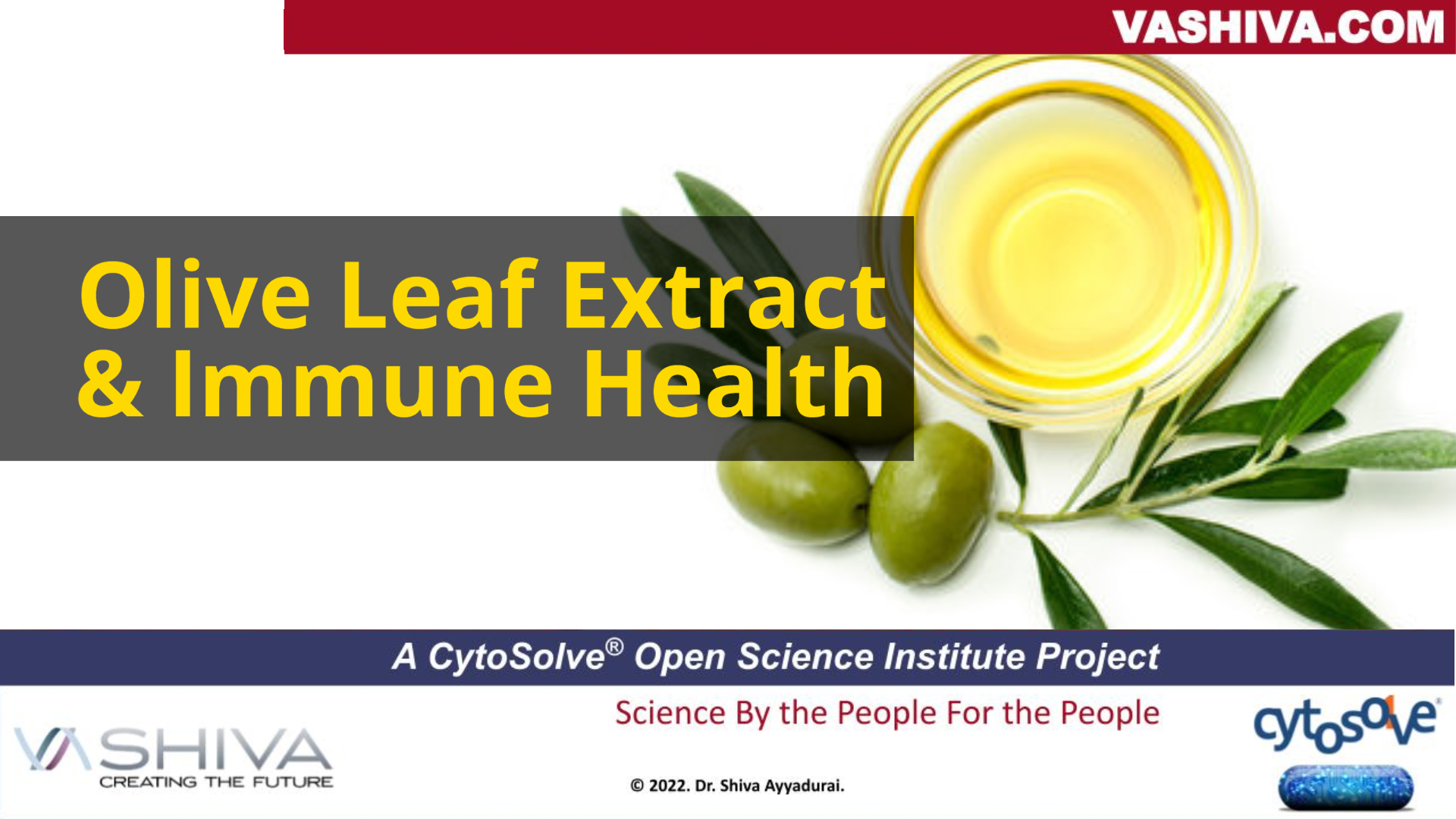 Dr.SHIVA: Olive Leaf Extract & Immune Health - A CytoSolve® Analysis