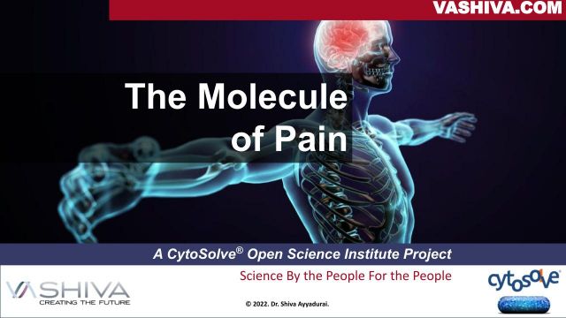 The Molecule of Pain