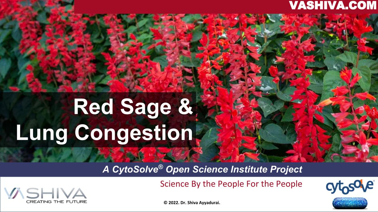 Red Sage & Lung Congestion