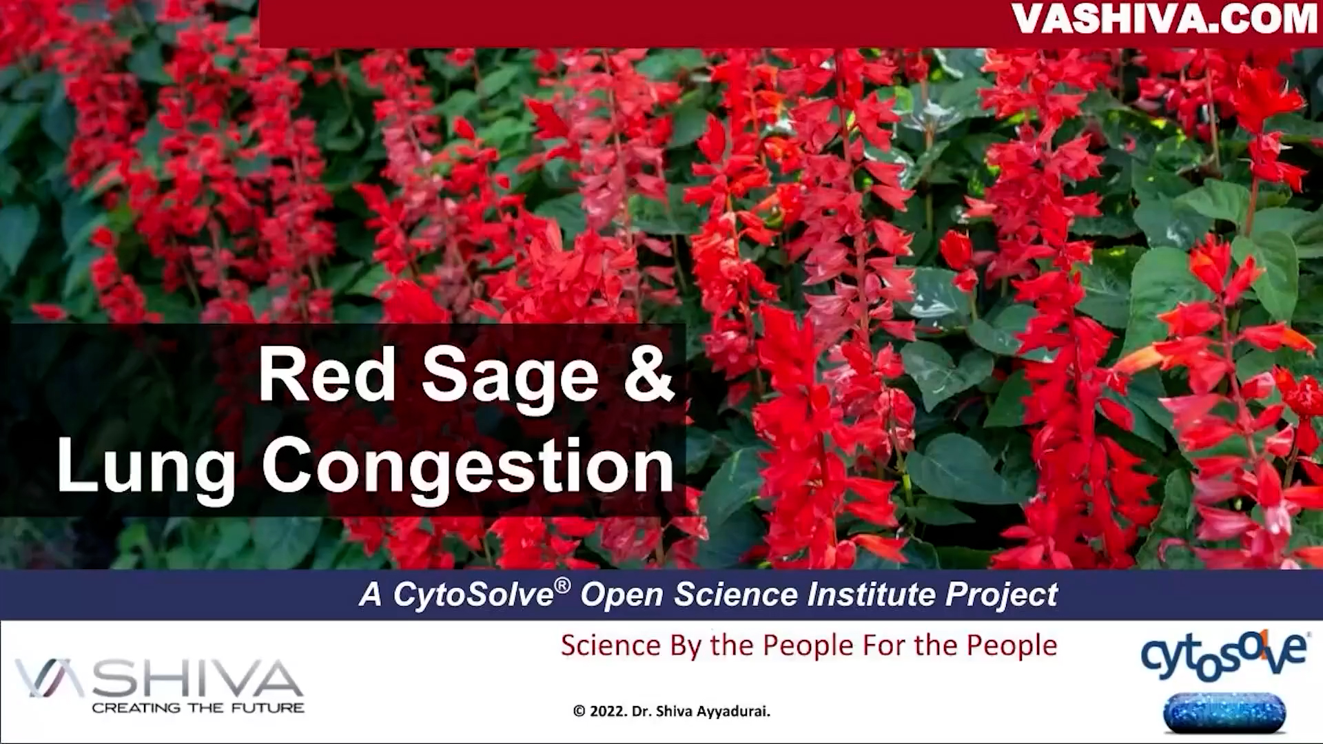 Dr.SHIVA: Red Sage & Lung Congestion