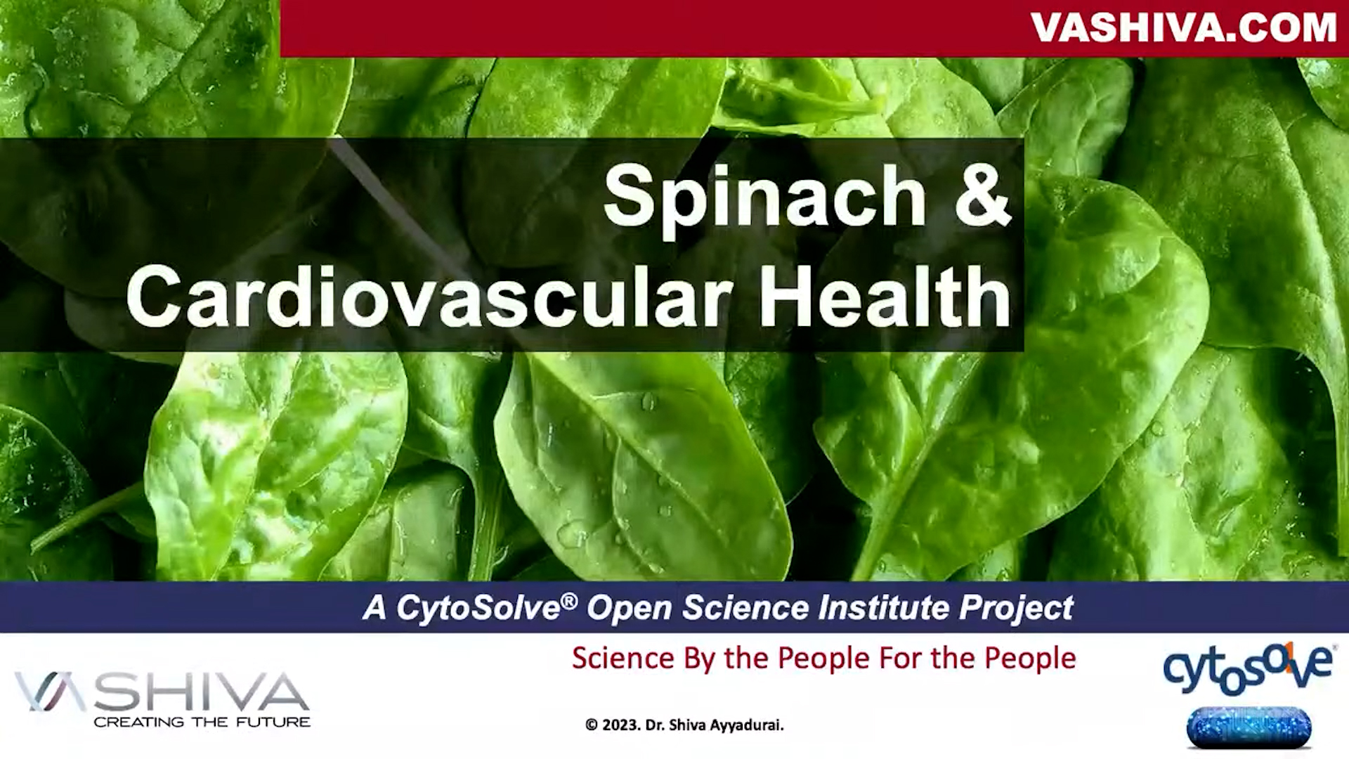 Dr.SHIVA: Spinach & Cardiovascular Health - A CytoSolve® Analysis