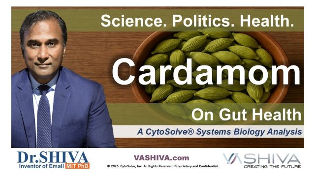 Dr.SHIVA™ LIVE – Cardamom on Gut Health: A Whole Systems Approach