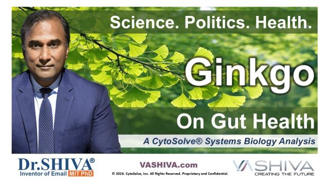 Dr.SHIVA® LIVE – Ginkgo on Gut Health: A Whole Systems Approach